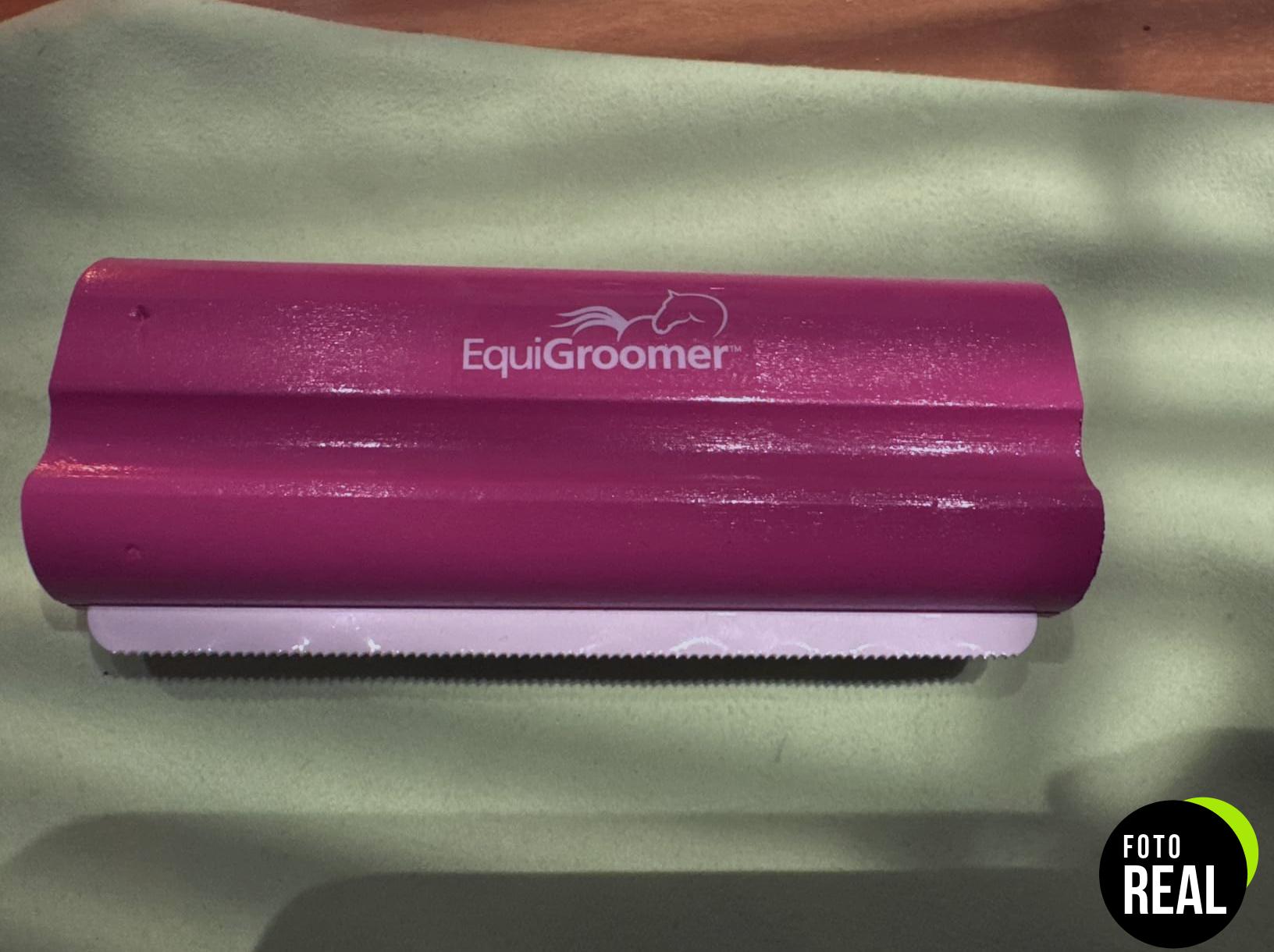 easygroomer-cepillo-mascotas-turquesa-foto-1