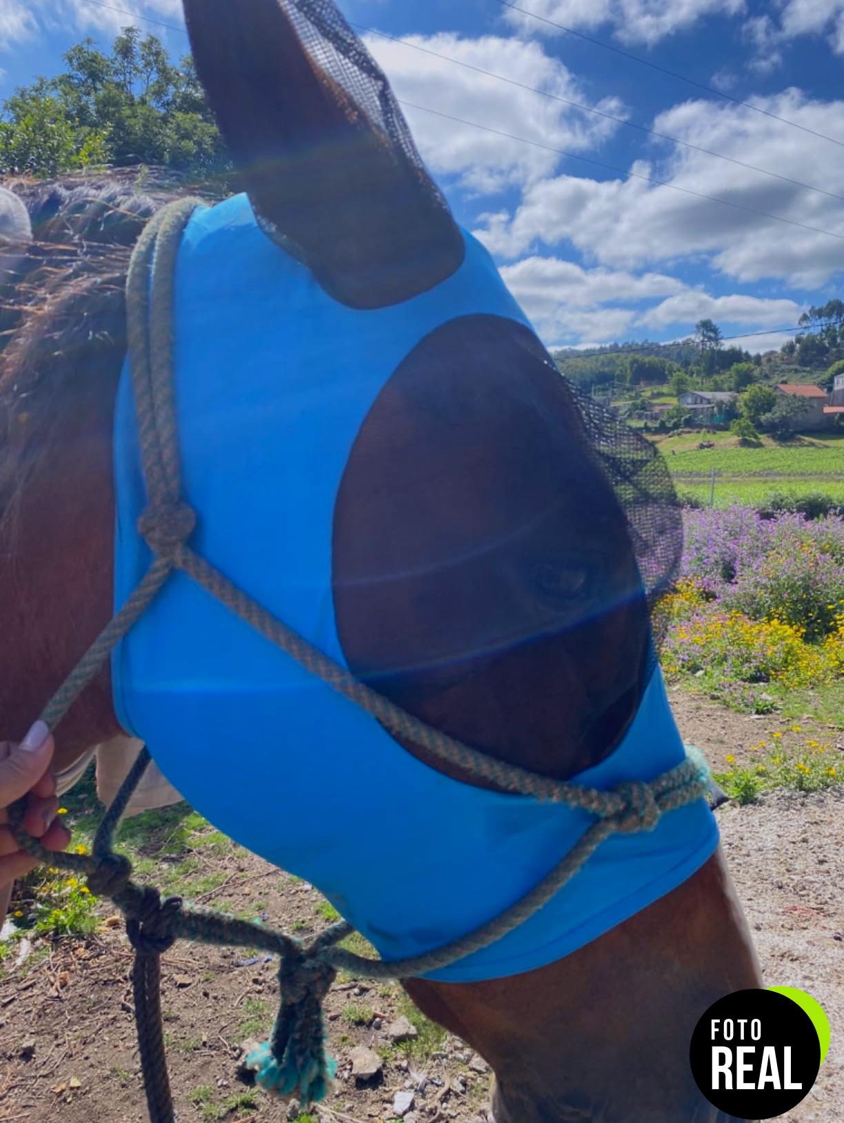 mascara-mosca-caballo-harrison-howard-tribal-foto-1