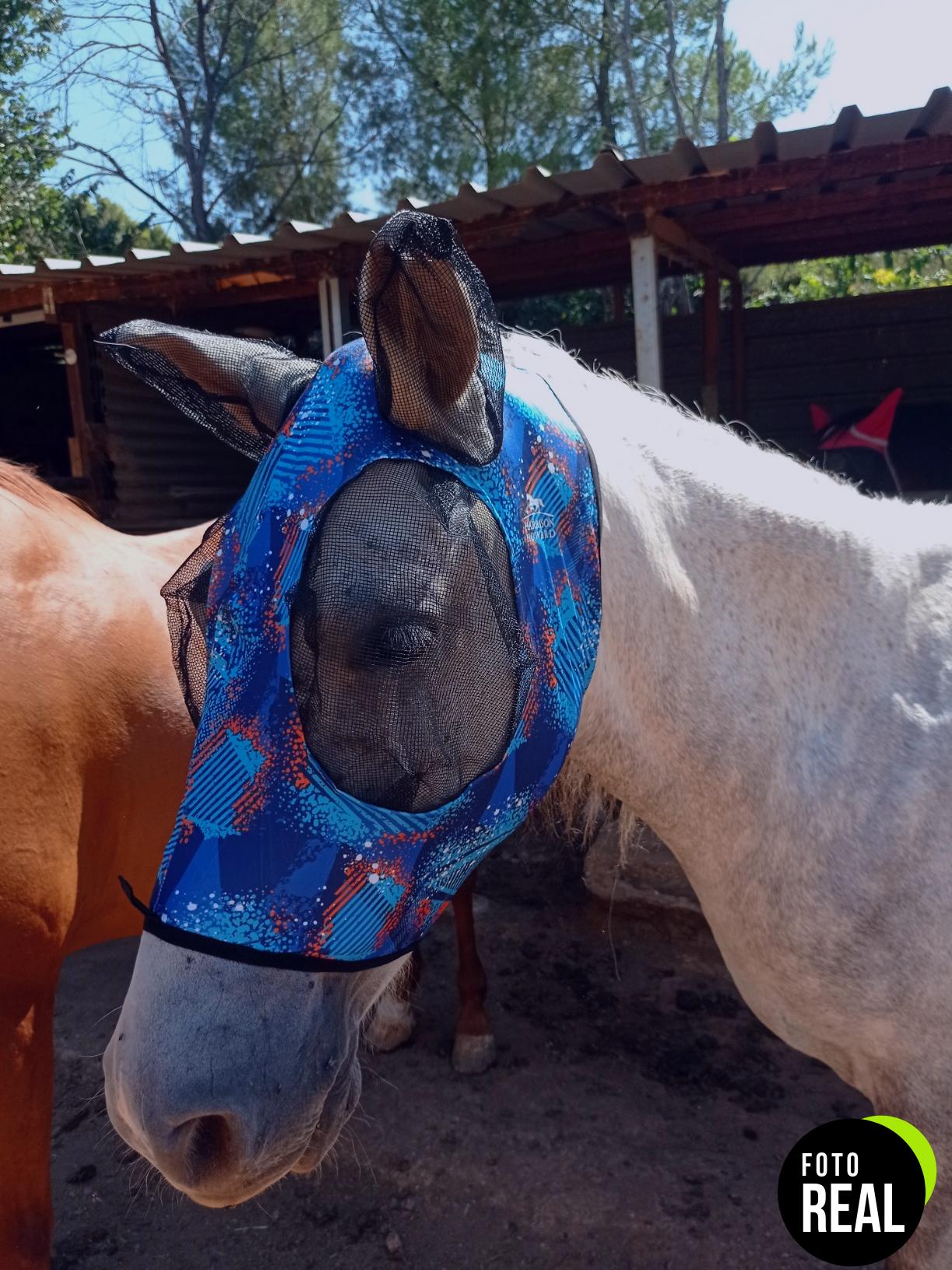 mascara-mosca-caballo-harrison-howard-tribal-foto-2